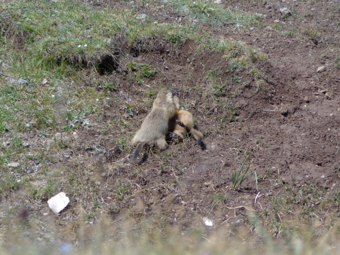 Экспедиция на пик Ленина с Уральским Высокогорным Клубом (Альпинизм)