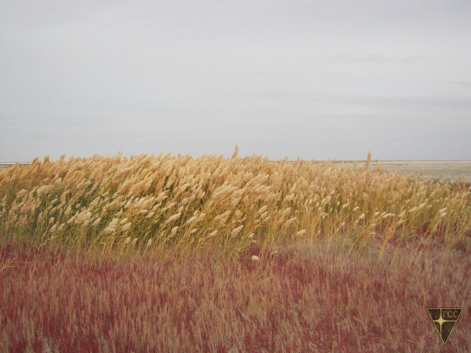 Добро пожаловать на остров Возрождения! (Часть 1. Путь на остров, Туризм, Аральское море, Аральск-7, полигон Бархан)