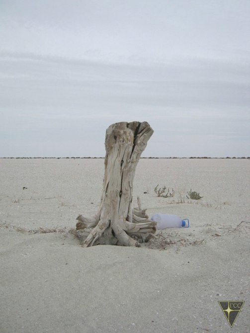 Добро пожаловать на остров Возрождения! (Часть 1. Путь на остров, Туризм, Аральское море, Аральск-7, полигон Бархан)