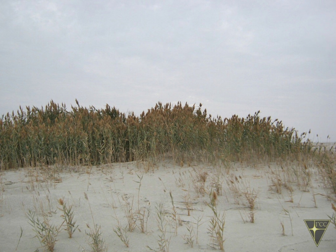 Добро пожаловать на остров Возрождения! (Часть 1. Путь на остров, Туризм, Аральское море, Аральск-7, полигон Бархан)