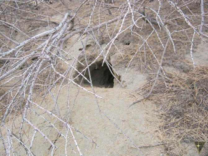 Добро пожаловать на остров Возрождения! (Часть 1. Путь на остров, Туризм, Аральское море, Аральск-7, полигон Бархан)