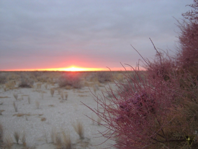 Добро пожаловать на остров Возрождения! (Часть 1. Путь на остров, Туризм, Аральское море, Аральск-7, полигон Бархан)