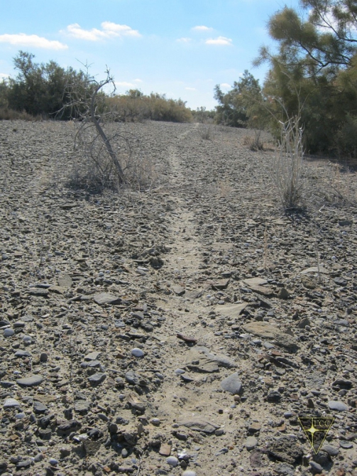 Добро пожаловать на остров Возрождения! (Часть 2. Полигон "Бархан": Аральск-7 и ПНИЛ-52, Туризм, Аральское море, полигон Бархан)