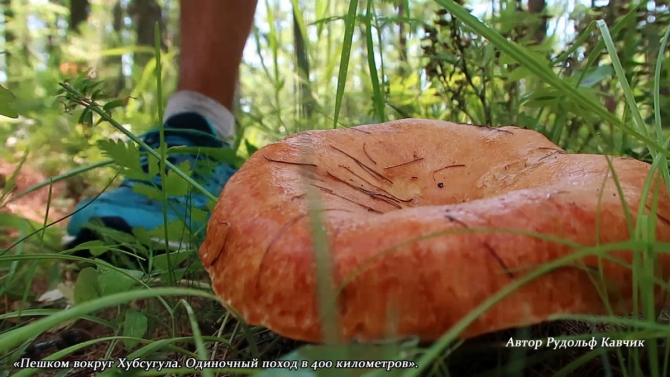 Часть 3. «Пешком вокруг Хубсугула. Одиночный поход в 400 километров». (Путешествия, Рудольф Кавчик, монголия)