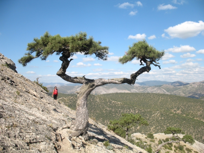 Сентябрь. Крым. Судак. Вспоминая Международный Чемпионат ветеранов альпинизма...