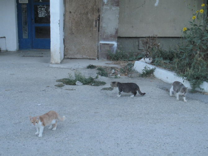 Сентябрь. Крым. Судак. Вспоминая Международный Чемпионат ветеранов альпинизма...