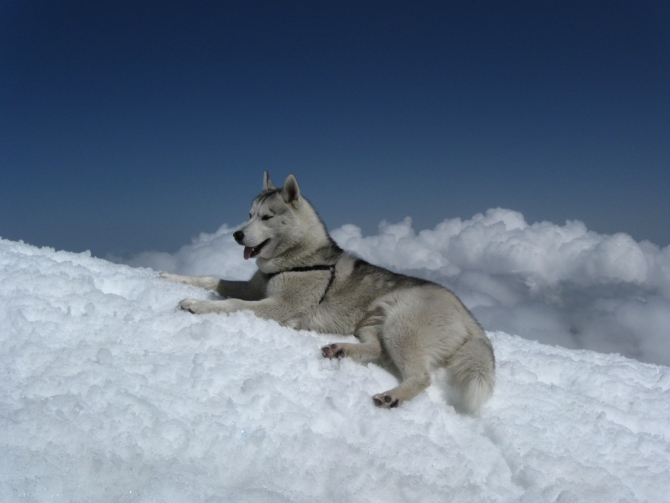 Эльбрус с севера. Фотоэпизоды. (Альпинизм)