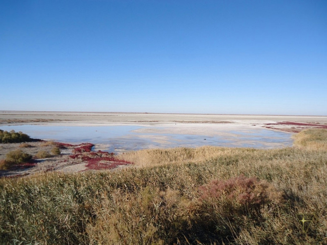 Добро пожаловать на остров Возрождения! (Часть 3. Брошенные корабли. Возвращение домой, Туризм, Аральское море, Аральск-7, полигон Бархан)