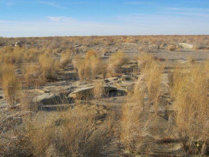 Добро пожаловать на остров Возрождения! (Часть 3. Брошенные корабли. Возвращение домой, Туризм, Аральское море, Аральск-7, полигон Бархан)