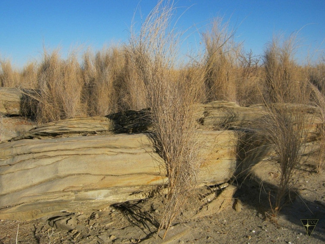 Добро пожаловать на остров Возрождения! (Часть 3. Брошенные корабли. Возвращение домой, Туризм, Аральское море, Аральск-7, полигон Бархан)