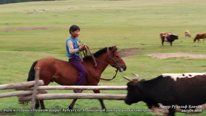 Часть 4. «Пешком вокруг Хубсугула. Одиночный поход в 400 километров». День 7. «Аборигены или куда мы бежим». (Путешествия, Рудольф Кавчик, монголия)