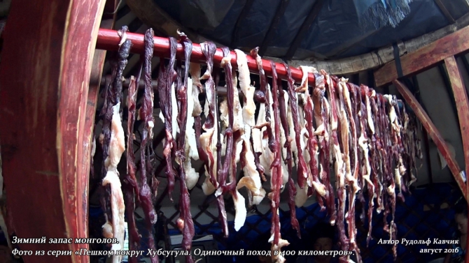 Часть 4. «Пешком вокруг Хубсугула. Одиночный поход в 400 километров». День 7. «Аборигены или куда мы бежим». (Путешествия, Рудольф Кавчик, монголия)