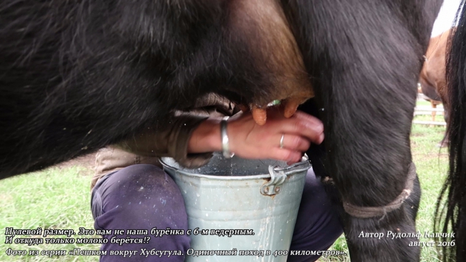 Часть 4. «Пешком вокруг Хубсугула. Одиночный поход в 400 километров». День 7. «Аборигены или куда мы бежим». (Путешествия, Рудольф Кавчик, монголия)