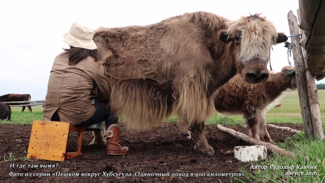 Часть 4. «Пешком вокруг Хубсугула. Одиночный поход в 400 километров». День 7. «Аборигены или куда мы бежим». (Путешествия, Рудольф Кавчик, монголия)