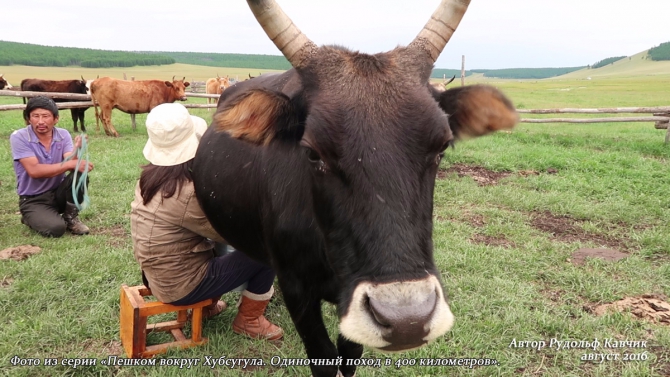 Часть 4. «Пешком вокруг Хубсугула. Одиночный поход в 400 километров». День 7. «Аборигены или куда мы бежим». (Путешествия, Рудольф Кавчик, монголия)