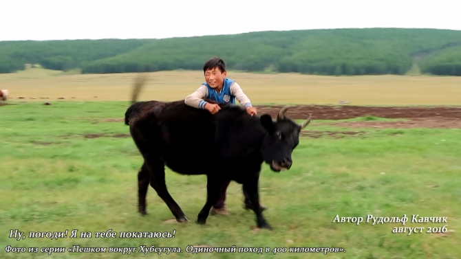 Часть 4. «Пешком вокруг Хубсугула. Одиночный поход в 400 километров». День 7. «Аборигены или куда мы бежим». (Путешествия, Рудольф Кавчик, монголия)