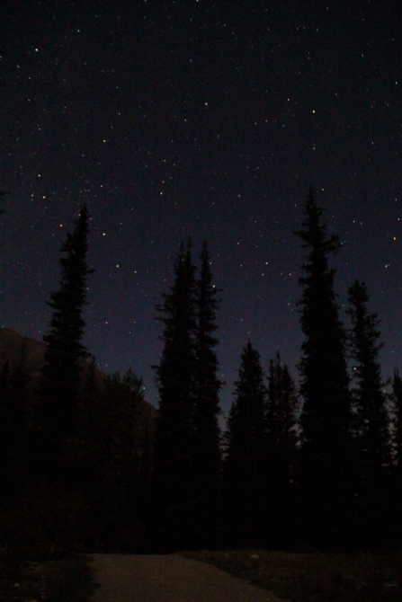 Ала-Арча. Осенние мотивы (Туризм, киргизия, фотоотчет)