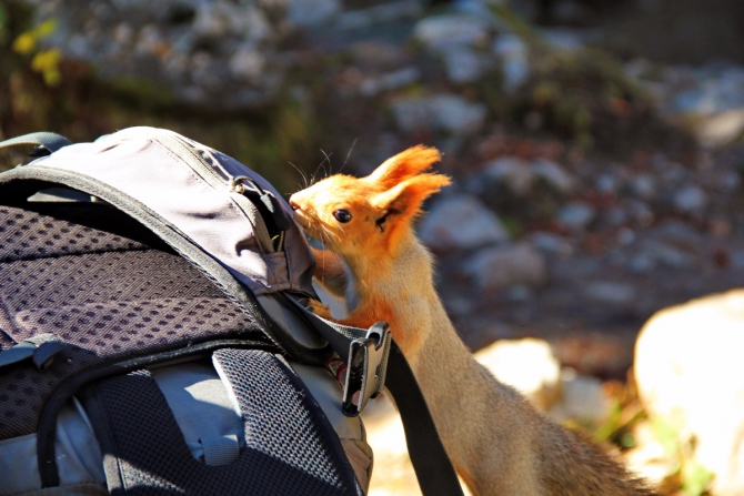 Ала-Арча. Осенние мотивы (Туризм, киргизия, фотоотчет)