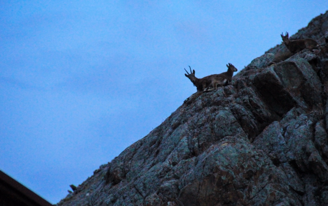 Ала-Арча. Осенние мотивы (Туризм, киргизия, фотоотчет)