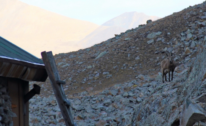 Ала-Арча. Осенние мотивы (Туризм, киргизия, фотоотчет)