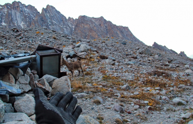 Ала-Арча. Осенние мотивы (Туризм, киргизия, фотоотчет)