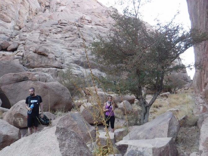 Дахабский Горный Клуб, альпинизм на Синае. Седьмой сезон - полёт нормальный! (египет, синай, санта катерина, зимний альпинизм, тёплые скалы.)