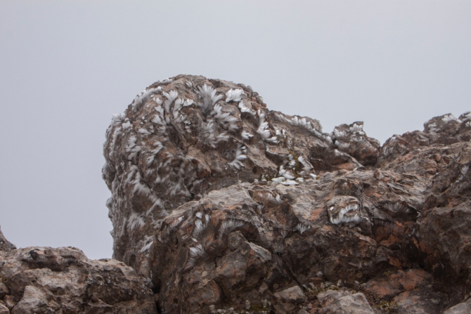 Как блогеры в поход ходили (Горный туризм, блогер под рюкзаком, горы, горный туризм, безопасность в горах, маршрут №30)