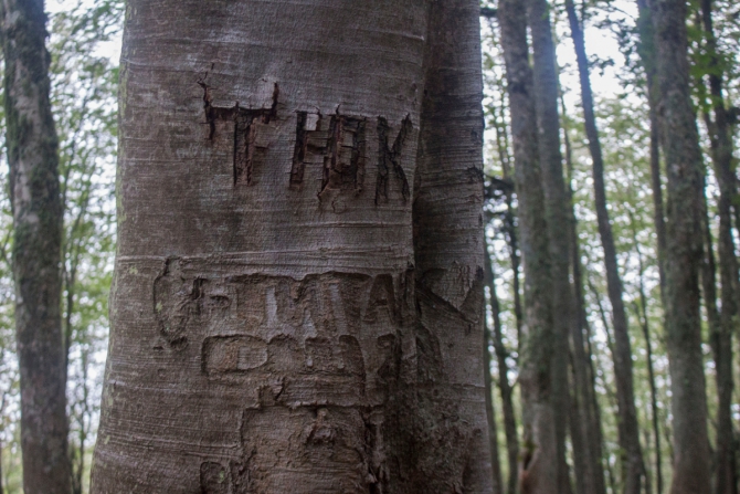 Как блогеры в поход ходили (Горный туризм, блогер под рюкзаком, горы, горный туризм, безопасность в горах, маршрут №30)