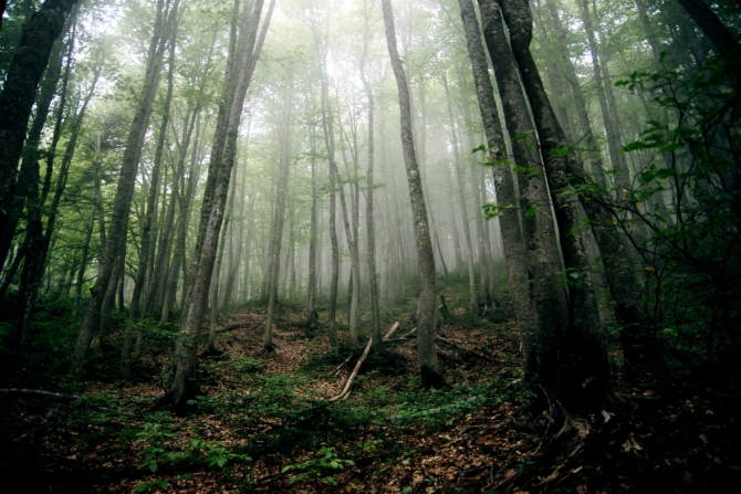 Как блогеры в поход ходили (Горный туризм, блогер под рюкзаком, горы, горный туризм, безопасность в горах, маршрут №30)
