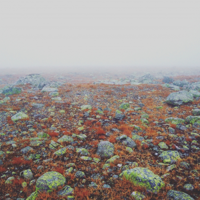 23 километра по горной тундре ради завтрака у Сейдозера - и обратно (Туризм, Сейдозеро, Ловозерские тундры)