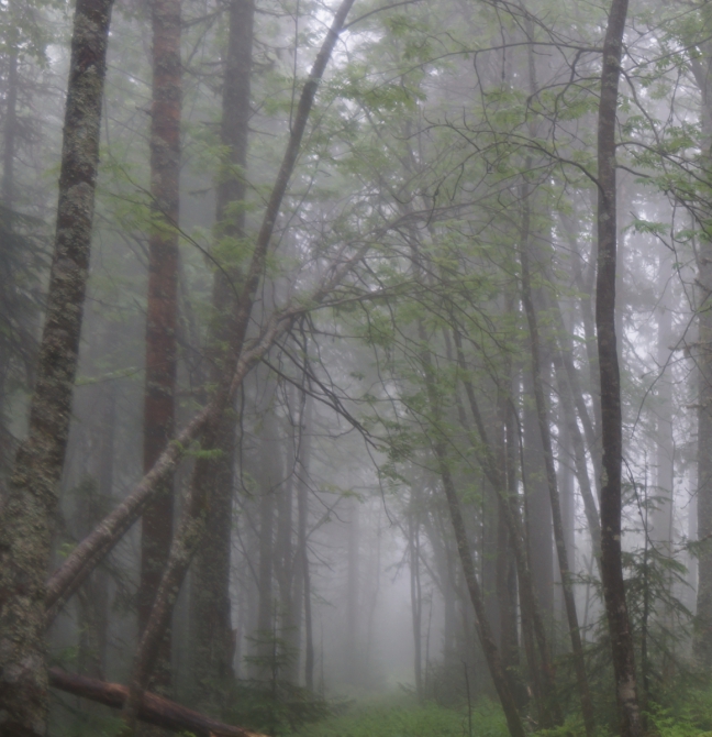 Комбипоход 12.06.14-17.06.14. Горный поход + велосипедом по исторической дороге. (Туризм, Серов)