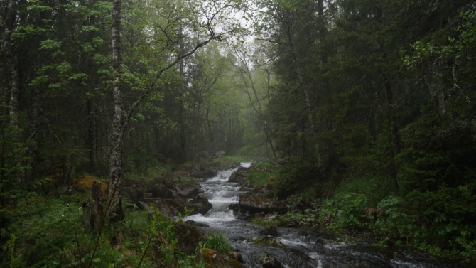 Комбипоход 12.06.14-17.06.14. Горный поход + велосипедом по исторической дороге. (Туризм, Серов)