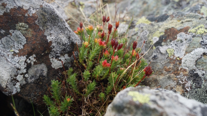 Комбипоход 12.06.14-17.06.14. Горный поход + велосипедом по исторической дороге. (Туризм, Серов)