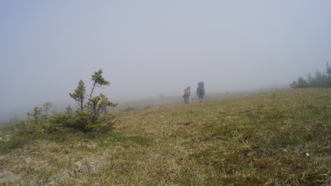 Комбипоход 12.06.14-17.06.14. Горный поход + велосипедом по исторической дороге. (Туризм, Серов)