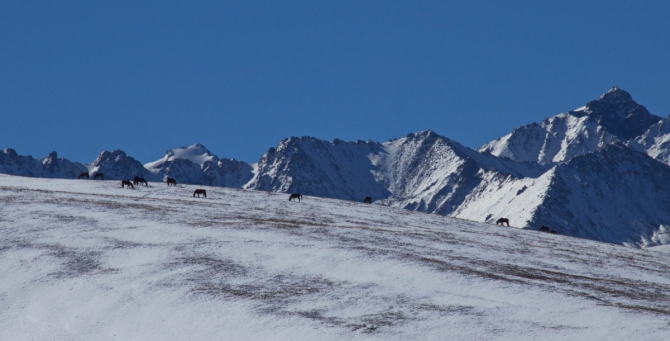 Зимний горный велосезон (киргизия, каракол, зима)