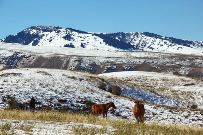 Зимний горный велосезон (киргизия, каракол, зима)