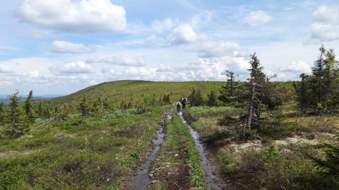 На ОЛЬВУ 10.06.16-13.06.16 118 км. (Вело)