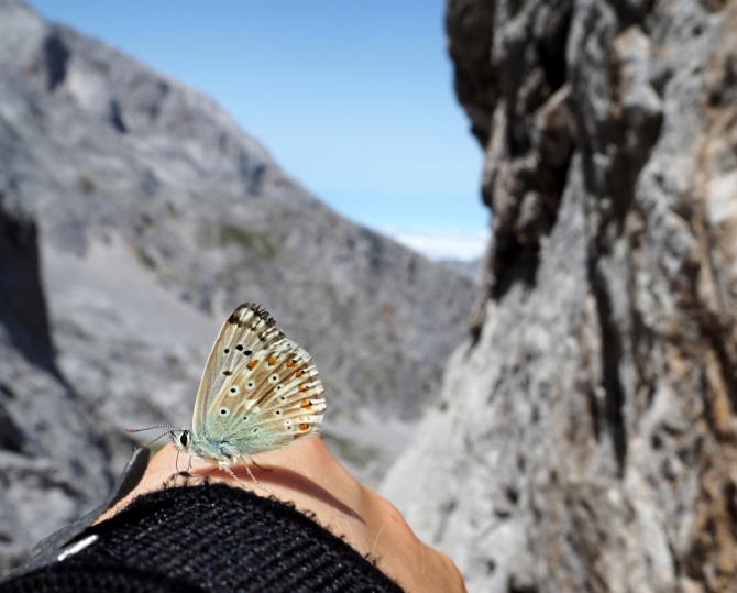 Naranjo de Bulnes. Pilar del Cantabrico.Часть 2. (Альпинизм, альпинизм, новости, отчет, испания, девушки, чибиток, коптева, петрова)