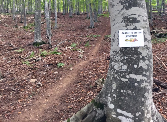 Crimea X Run: Сил нет, но вы там держитесь! (Скайраннинг, крым, стадийный трейл, гонка, соревнования, бег, трейлраннинг)