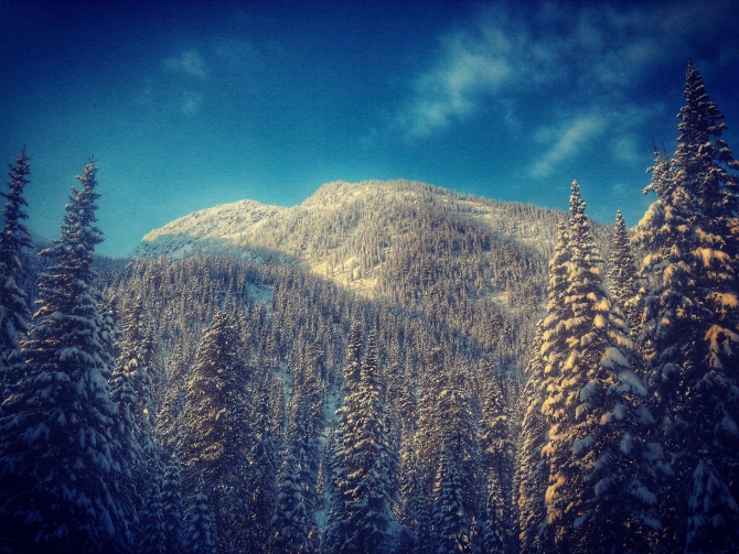 Чемпионат по фрирайду на Мамае: зима сказала: "Скоро буду!" (Бэккантри/Фрирайд, мамай, соревнования по фрирайду)