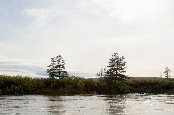 Милая моя, озеро Лесное (чукотка, сплав, пакрафт)