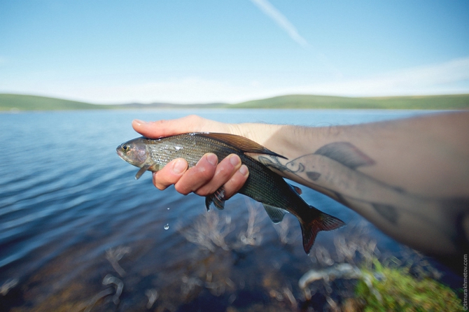Милая моя, озеро Лесное (чукотка, сплав, пакрафт)