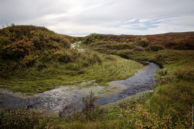 Милая моя, озеро Лесное (чукотка, сплав, пакрафт)