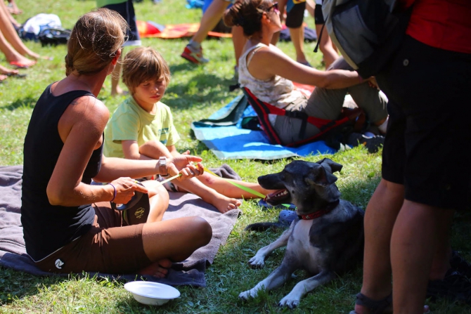 Легенды Арко: За что стоит любить Rock Master! (Скалолазание, италия, события, arco rock legends, крутые, скалолазание, соревнования, дима факирьянов, трудность, кубок мира)