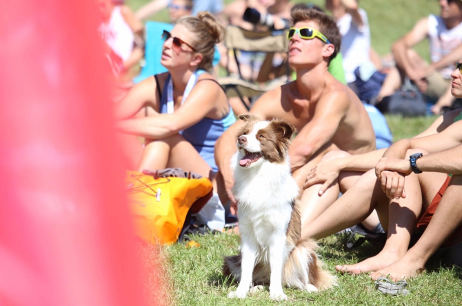 Легенды Арко: За что стоит любить Rock Master! (Скалолазание, италия, события, arco rock legends, крутые, скалолазание, соревнования, дима факирьянов, трудность, кубок мира)