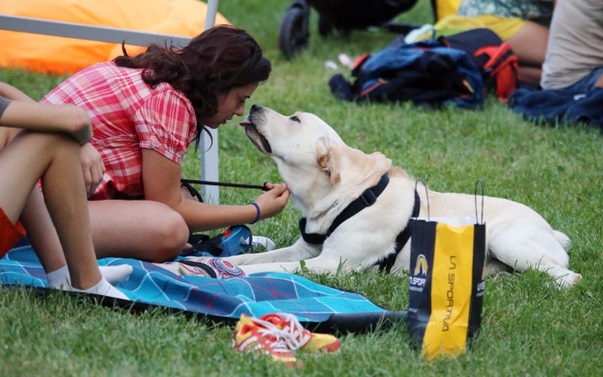 Легенды Арко: За что стоит любить Rock Master! (Скалолазание, италия, события, arco rock legends, крутые, скалолазание, соревнования, дима факирьянов, трудность, кубок мира)