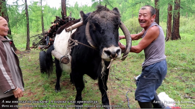 Часть 7. «Пешком вокруг Хубсугула. Одиночный поход в 400 километров». (Путешествия, Рудольф Кавчик, монголия)