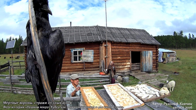 Часть 7. «Пешком вокруг Хубсугула. Одиночный поход в 400 километров». (Путешествия, Рудольф Кавчик, монголия)