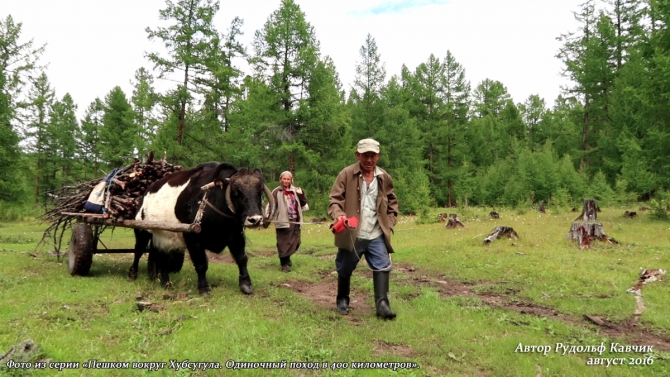 Часть 7. «Пешком вокруг Хубсугула. Одиночный поход в 400 километров». (Путешествия, Рудольф Кавчик, монголия)