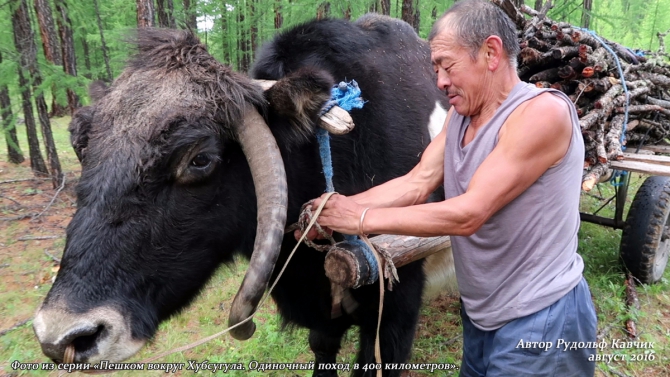 Часть 7. «Пешком вокруг Хубсугула. Одиночный поход в 400 километров». (Путешествия, Рудольф Кавчик, монголия)